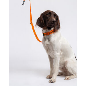 Carhartt WIP Script Dog Leash & Collar Carhartt Orange / Black